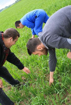 Campus de Mirecourt agricole et forestier - CFA