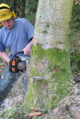 Campus de Mirecourt agricole et forestier - CFA