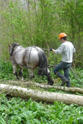 Campus de Mirecourt agricole et forestier - CFPPA