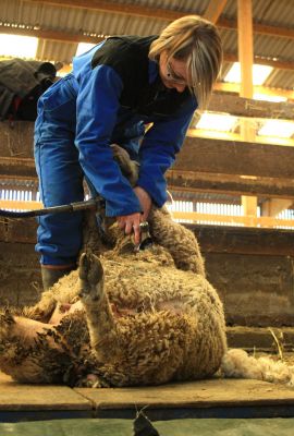 Campus de Mirecourt agricole et forestier - CFPPA