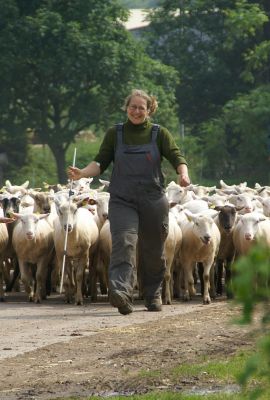 Campus de Mirecourt agricole et forestier - CFPPA