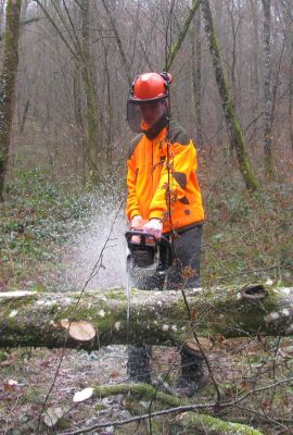 Campus de Mirecourt agricole et forestier - Lycée