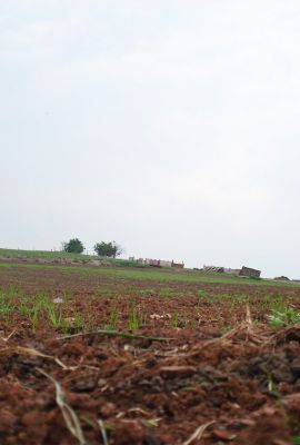 Campus de Mirecourt agricole et forestier - Vie au Campus
