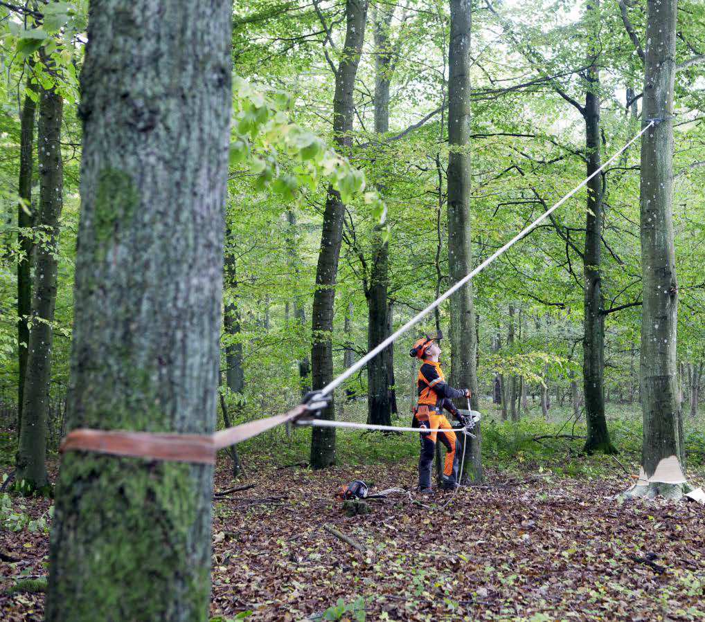 Câblage/Treuillage Campus de Mirecourt agricole et forestier
